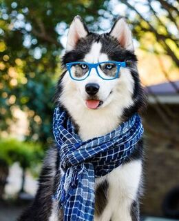 Евгений Викторович